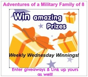 giveaways, sweepstakes, contest, prizes, win, blog, give a way, 