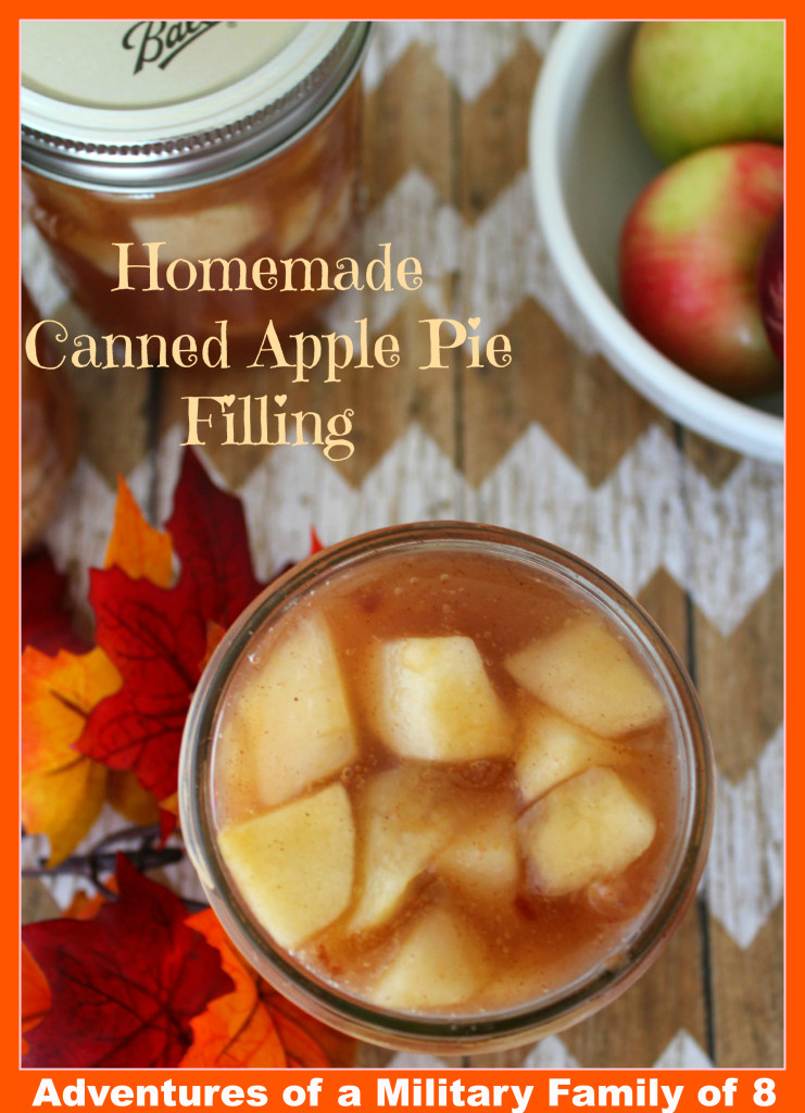 Apple-Pie-Filling-Final- caption