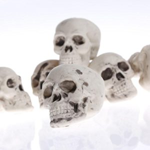 65 Adult Fun Party Supplies for Halloween Roundup