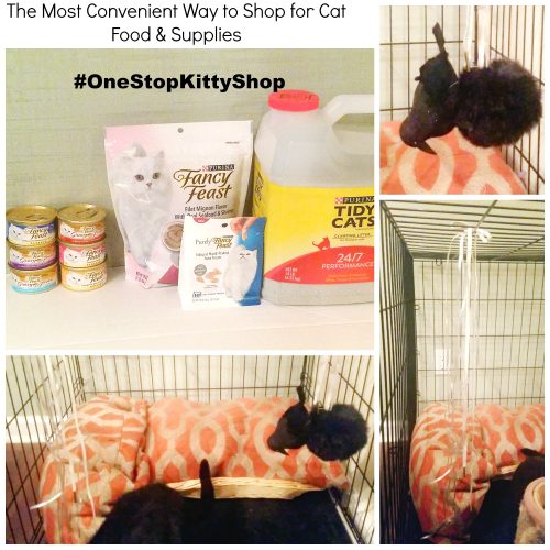 The Most Convenient Way to Shop for Cat Food & Supplies #OneStopKittyShop