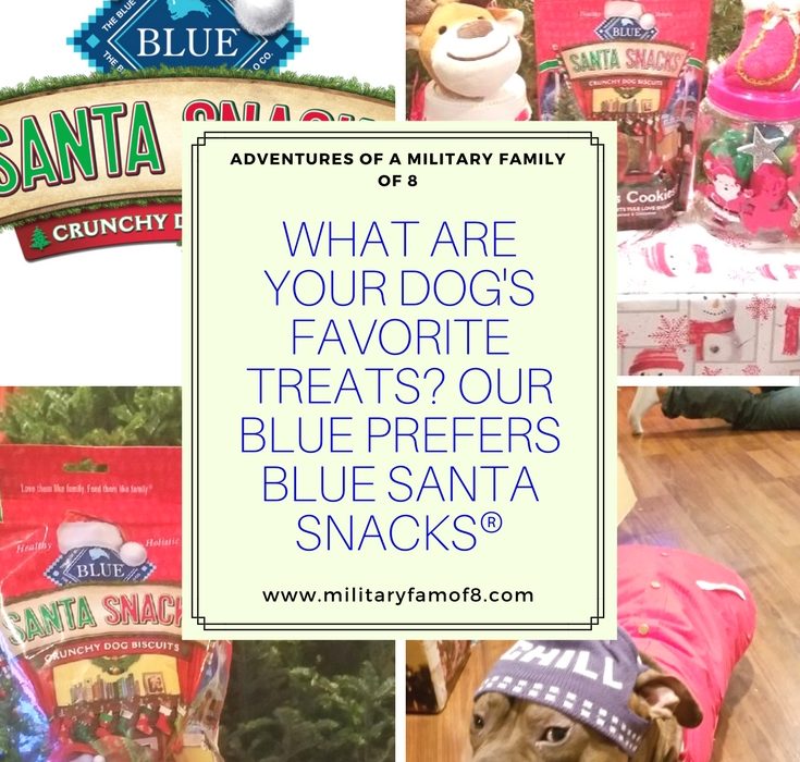 What are your Dog's Favorite Treats? Our Blue Prefers BLUE Santa Snacks®