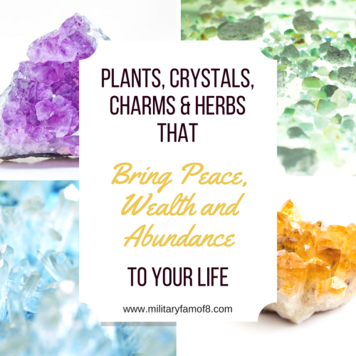 Plants, Crystals, Charms & Herbs that Bring Peace, Wealth and Abundance to your Life